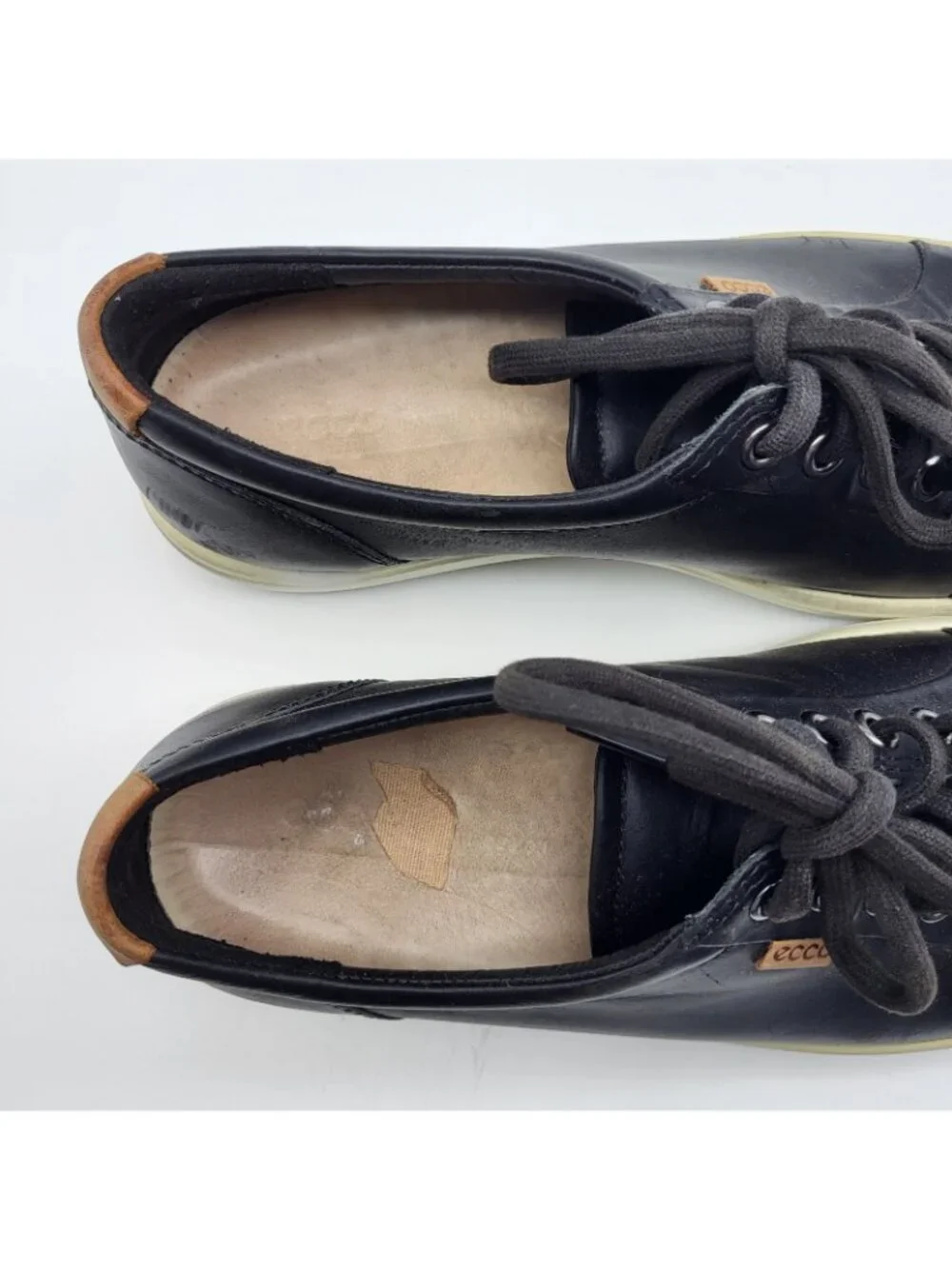 Ecco thanks looking